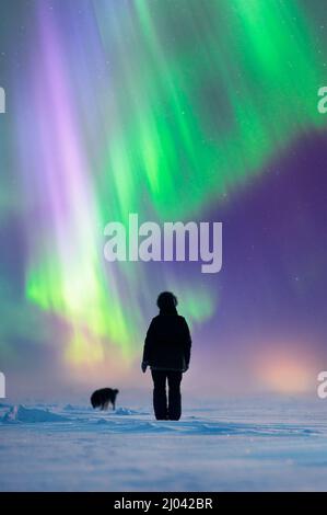 Donna con il suo cane in piedi sulla superficie ghiacciata del lago, ammirando aurora boreale su paesaggio artico invernale. Fuoco sulla donna. Foto Stock