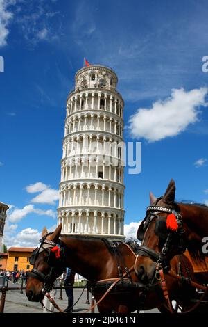 Torre pendente di Pisa, Italia Foto Stock