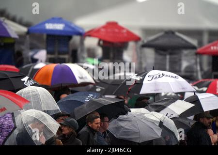 I Racegoers si rifugiano sotto gli ombrelloni il secondo giorno del Cheltenham Festival all'ippodromo di Cheltenham. Data foto: Mercoledì 16 marzo 2022. Foto Stock