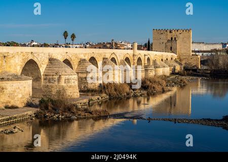 Römische Brücke über den Fluss Río Guadalquivir und der Torre de la Calahorra a Cordoba, Andalusia, Spanien | Ponte romano su Río Guadalquivir r Foto Stock