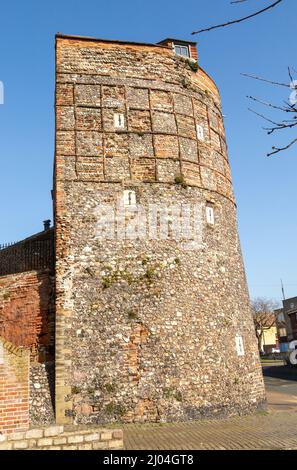 Torre difensiva medievale a sud-est delle mura cittadine, Great Yarmouth, Norfolk, Inghilterra, UK Foto Stock