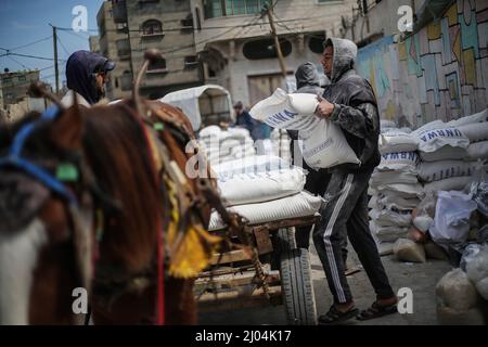 Gaza, Palestina. 16th Mar 2022. Un venditore palestinese carica sacchi di farina su un carrello di fronte al centro di distribuzione degli aiuti alimentari dell'UNRWA nella parte occidentale di Gaza. La scarsità dei prodotti alimentari di base ha causato un aumento dei prezzi nella striscia di Gaza. La regione è fortemente dipendente dalle forniture di grano provenienti dall'Ucraina e dalla Russia che sono ora in guerra. (Credit Image: © Ahmed Zakot/SOPA Images via ZUMA Press Wire) Credit: ZUMA Press, Inc./Alamy Live News Foto Stock