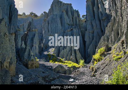 Stretti canyon tra i pinnacoli di Putangirua, guglie di ghiaia erose, nel Parco della Foresta di Aorangi, Greater Wellington, Isola del Nord, Nuova Zelanda Foto Stock