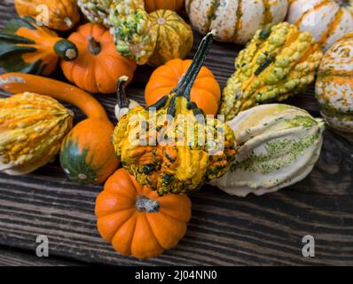 Le zucche ornamentali e decorative sono insolitamente e splendidamente formati membri della famiglia delle zucche, produced.During la stagione crescente autunno e autunno. Foto Stock