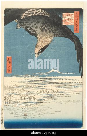 Susaki e la pianura di Jūmantsubo vicino a Fukagawa. Utagawa Hiroshige (Giappone, Edo, 1797-1858). Giappone, 1857, 5th mesi. Stampe; blocchi di legno. Stampa a blocchi di legno a colori Foto Stock