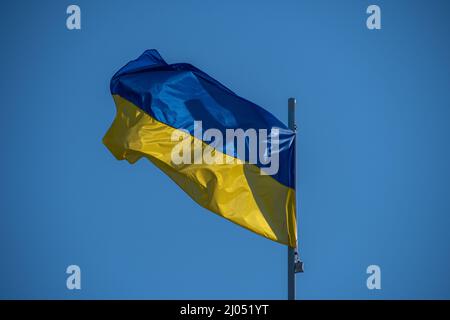 Una bandiera Ucraina vola contro un cielo senza nuvole Foto Stock