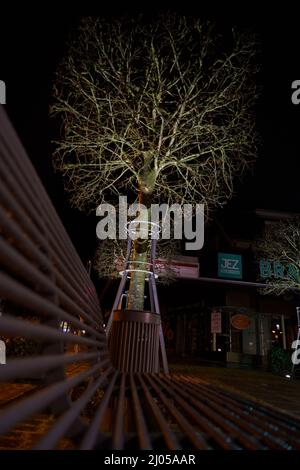 Foto di strada di notte con luce artificiale Foto Stock