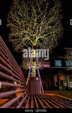 Foto di strada di notte con luce artificiale Foto Stock