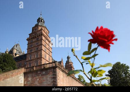 Castello di Johannisburg e Rosa Rossa ad Aschaffenburg, Baviera, Germania Foto Stock