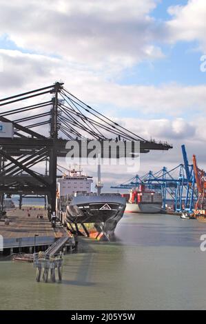 I contenitori di spedizione e delle navi nel porto di Tacoma Washington Foto Stock