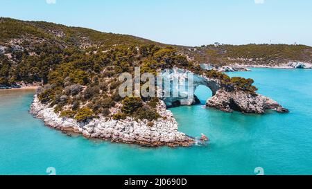 Vista aerea degli alberi su scogliere rocciose sull'acqua nella spiaggia di Architiello di San Felice, Italia Foto Stock