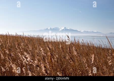 Le mont Canigou sur l'étang de Salses ou Leucate Foto Stock