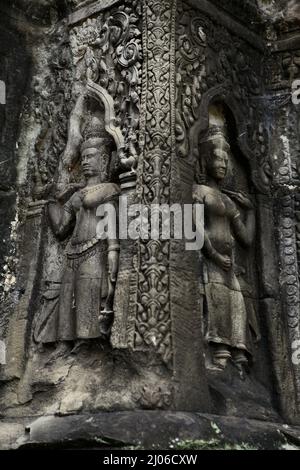 Rilievo delle figure di apsara sulla parete di Ta Prohm, un antico monastero abbandonato e tempio a Siem Reap, Cambogia. Foto Stock