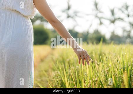 Donna incinta che va in campo con erba verde e più la sua mano sull'erba. Sole estate vibes Foto Stock