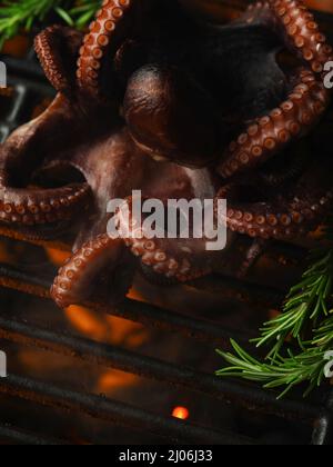 Scatto macro. Frutti di mare. Grande polpo con rosmarino su sfondo affumicato è grigliato. Cucina piatti di pesce. Ristorante, hotel, cucina casalinga, ricettario Foto Stock