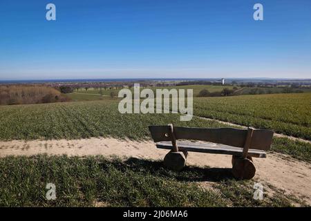 Panker, Germania. 11th Mar 2022. Una panchina con vista sul Mar Baltico si trova nella tenuta Gut Panker della Hessische Hausstiftung. Per mantenere le grandi proprietà nello Schleswig-Holstein, sono necessarie imprese solide. Dove l'agricoltura e la silvicoltura non sono sufficienti, i signori e le Signore della proprietà contano sui mercati e sugli eventi di Natale. (A dpa-Korr 'Vacanze nella fattoria davvero grande: Turismo immobiliare nel nord') Credit: Christian Charisius/dpa/Alamy Live News Foto Stock