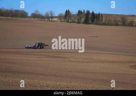 Panker, Germania. 11th Mar 2022. Coltivatori scavando un campo e preparandosi a seminare avena a 'Gut Panker' della Hessian House Foundation. Per conservare le grandi aziende dello Schleswig-Holstein sono necessarie aziende agricole forti. Credit: Christian Charisius/dpa/Alamy Live News Foto Stock