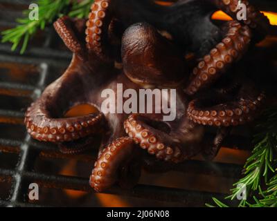 Scatto macro. Polpo alla griglia con rametti di rosmarino. Ristorante cucina ricette per la cucina di piatti di pesce. Frutti di mare, piatti esotici. Vita sana Foto Stock