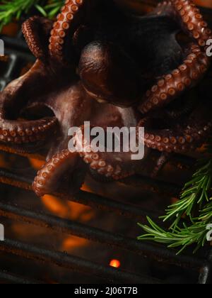 Scatto macro. Frutti di mare. Grande polpo con rosmarino su sfondo affumicato è grigliato. Cucina piatti di pesce. Ristorante, hotel, cucina casalinga, ricettario Foto Stock