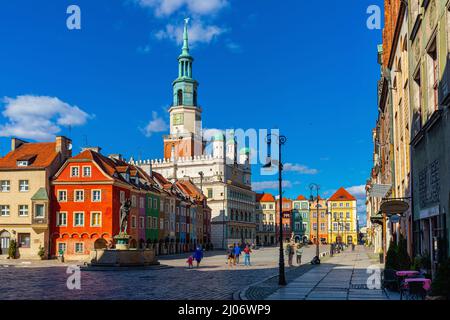 Pittoresco paesaggio urbano di Piazza del mercato di Poznan con il municipio storico e la Fontana di Apollo circondato da case cittadine colorate nella primavera, in Polonia Foto Stock