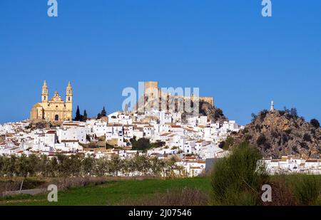 Il villaggio bianco Olvera con castello e chiesa Nuestra Señora de la Encarnacion, Olvera, pueblo blanco, provincia di Cadice, Andalusia, Spagna Foto Stock
