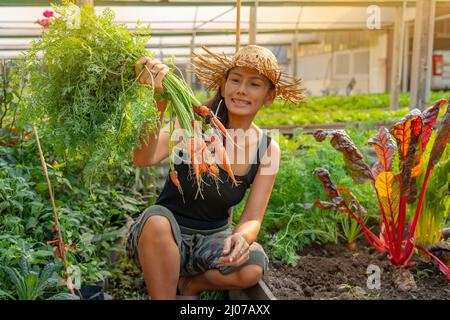 Donna felice con mazzo di carote appena raccolte nel giardino sul cortile. Agricoltura biologica, cibo sano stile di vita da fattoria a tavola. Foto Stock