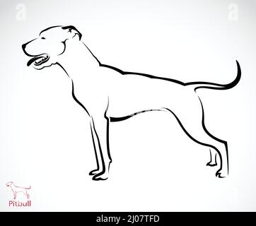 Immagine vettoriale del cane pitbull su sfondo bianco. Illustrazione vettoriale a livelli facilmente modificabile. Illustrazione Vettoriale