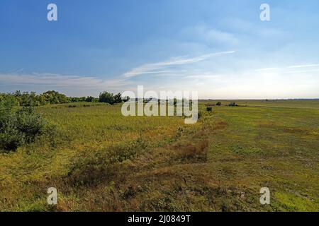 Puszta, Parco Hortobágyi Nemzeti, Parco Nazionale Foto Stock