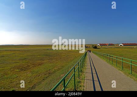 Puszta, Parco Hortobágyi Nemzeti, Parco Nazionale Foto Stock