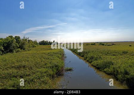 Puszta, Parco Hortobágyi Nemzeti, Parco Nazionale, Fluß, Hortobágy Foto Stock