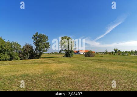 Puszta, Parco Hortobágyi Nemzeti, Parco Nazionale, Bauernhof Foto Stock