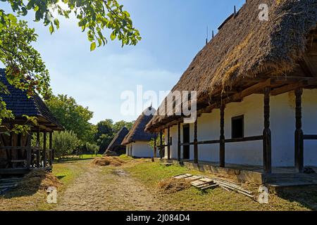 Freilichtmuseum, Bauernhofmuseum, Skanzen, Szentendrei Szabadtéri Néprajzi Múzeum, Häuser, Regione Tisza, Theiß Foto Stock