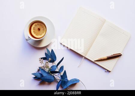 L'ambiente perfetto per tutte le tue idee creative. Foto di studio di un diario e penna posizionati con altri oggetti di vita fissa su uno sfondo grigio. Foto Stock