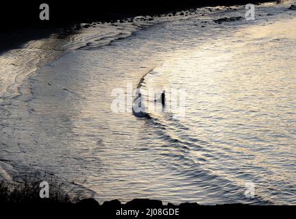 Solitario nuotatore di mare con silhouette Foto Stock