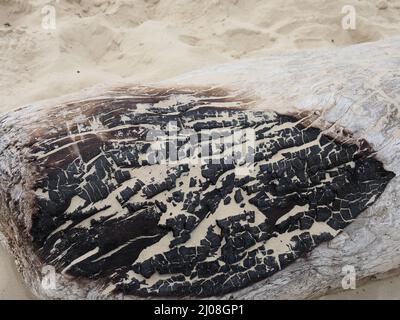 Primo piano di un pezzo di legno mezzo bruciato su una spiaggia di sabbia Foto Stock