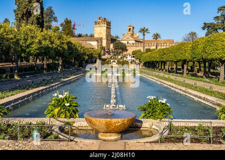 Wasserbecken, Gärten und Türme des Palastes, Alcázar de los Reyes Cristianos a Cordoba, Andalusia, Spanien | Giardini con piscine e torri del palazzo, Foto Stock