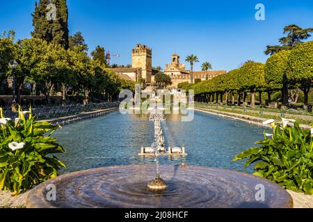 Wasserbecken, Gärten und Türme des Palastes, Alcázar de los Reyes Cristianos a Cordoba, Andalusia, Spanien | Giardini con piscine e torri del palazzo, Foto Stock