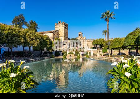 Wasserbecken, Gärten und Türme des Palastes, Alcázar de los Reyes Cristianos a Cordoba, Andalusia, Spanien | Giardini con piscine e torri del palazzo, Foto Stock