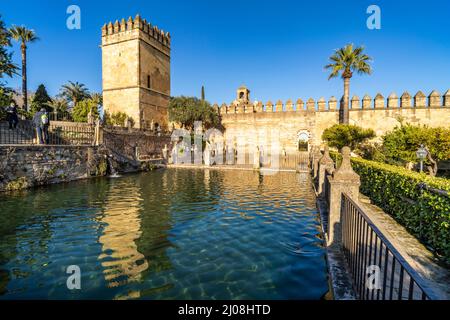 Wasserbecken, Gärten und Türme des Palastes, Alcázar de los Reyes Cristianos a Cordoba, Andalusia, Spanien | Giardini con piscine e torri del palazzo, Foto Stock