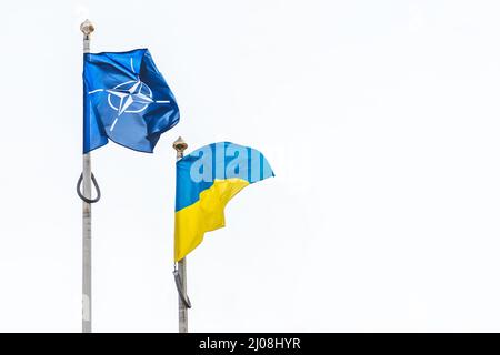 Bandiera della NATO, dell'Organizzazione del Trattato del Nord Atlantico e dell'Ucraina che ondeggiavano insieme nel cielo bianco, spazio copia Foto Stock