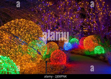 Path of Lights - una vista notturna di un percorso tortuoso illuminato da luci colorate ai Giardini Botanici di Denver durante la sua vacanza Blossoms of Light evento. Co, Stati Uniti. Foto Stock