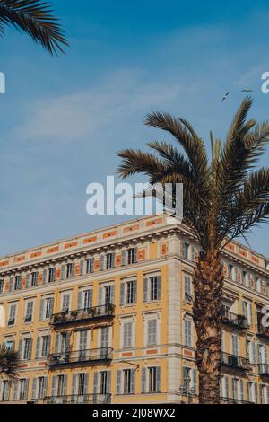 Edificio residenziale a Nizza, Francia, visto dietro una palma, contro il cielo blu. Foto Stock