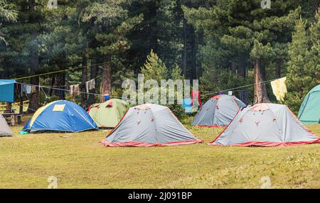 Un grande gruppo di tende si trova nella foresta in un campeggio. Il concetto di attività ricreative all'aperto da parte di una grande azienda di persone o un festival all'aperto Foto Stock