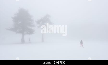 Paesaggio innevato d'inverno con alberi e sagome sciistiche appena visibili in nebbia fitta Foto Stock