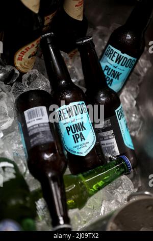 Bottiglie di BrewDog, Punk IPA raffigurato in un secchio di ghiaccio in un hotel a Londra, Regno Unito. Foto Stock