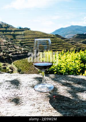 Bicchiere con vino Ruby Port in piedi su un muro di pietra in una cantina di vigneti, Douro Valley in Portogallo Foto Stock