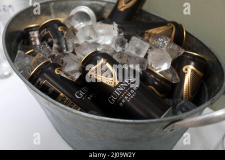 Vista generale di una pinta di Guinness e lattine di Guinness in un hotel a Sussex, Regno Unito. Foto Stock