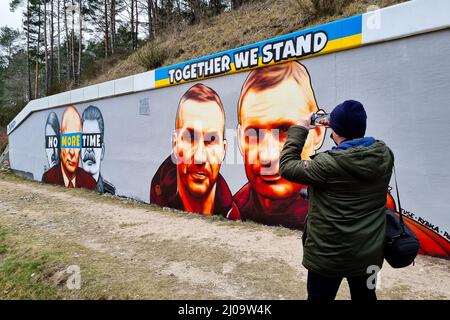 Danzica, Polonia. 17th Mar 2022. Un murale di vitali e Vladimir Klitschko è visto sul muro accanto alla stazione ferroviaria PKM Gdansk Jasien. È stato creato il secondo di una serie di omicidi contro la guerra dal titolo "solidarietà con l'Ucraina”. Il suo autore è Tuse, uno degli artisti di strada più riconoscibili in Polonia. Si tratta di un'iniziativa congiunta del Voivodato Pomeriano, della Ferrovia Metropolitana Pomerania e dell'Accademia di Belle Arti di Danzica. Credit: SOPA Images Limited/Alamy Live News Foto Stock