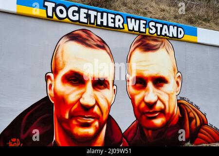 Danzica, Polonia. 17th Mar 2022. Un murale di vitali e Vladimir Klitschko è visto sul muro accanto alla stazione ferroviaria PKM Gdansk Jasien. È stato creato il secondo di una serie di omicidi contro la guerra dal titolo "solidarietà con l'Ucraina”. Il suo autore è Tuse, uno degli artisti di strada più riconoscibili in Polonia. Si tratta di un'iniziativa congiunta del Voivodato Pomeriano, della Ferrovia Metropolitana Pomerania e dell'Accademia di Belle Arti di Danzica. Credit: SOPA Images Limited/Alamy Live News Foto Stock