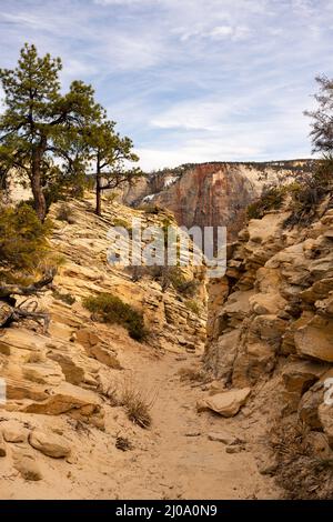 Sandy Trail scendendo a Scouts Lookout nel Parco Nazionale di Zion Foto Stock